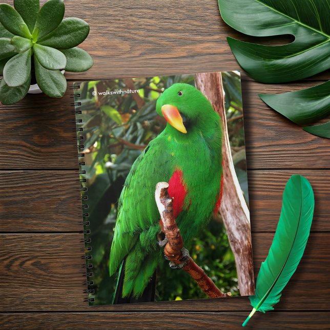 "Grönt Orator" Eclectus Parrot Anteckningsbok Med Spiral (The Green Orator Eclectus Parrot Journal Cover Photo)
