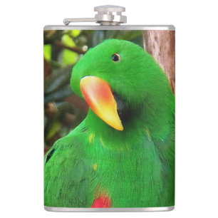 "Grönt Orator" Eclectus Parrot Fickplunta