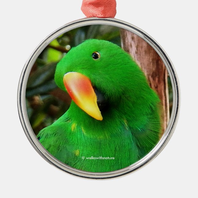 "Grönt Orator" Eclectus Parrot Julgransprydnad Metall (Framsidan)