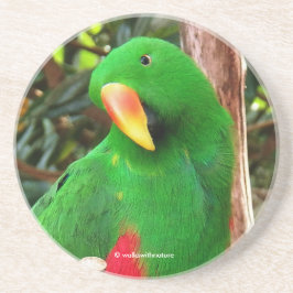 "Grönt Orator" Eclectus Parrot Underlägg