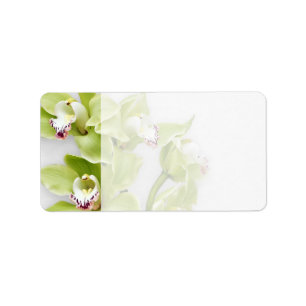 Grönt Orchid Blank Bröllop Adressetiketter