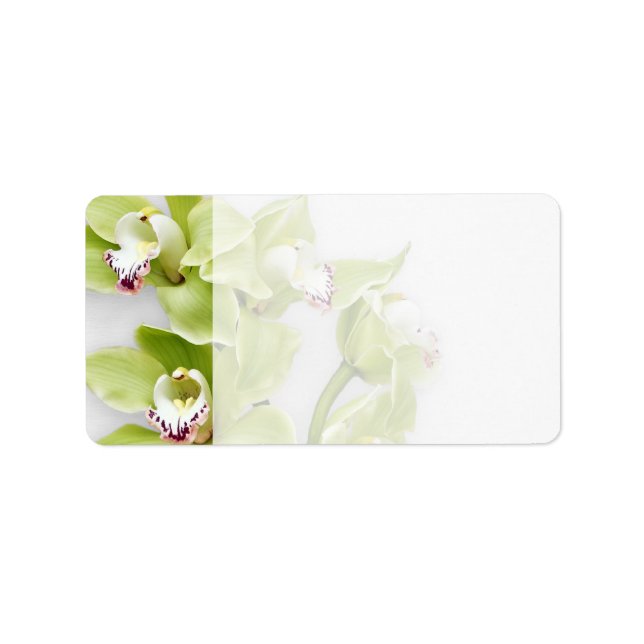Grönt Orchid Blank Bröllop Adressetiketter (Framsidan)