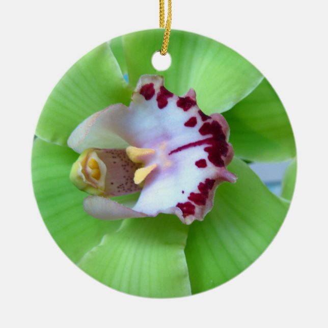 Grönt Orchid Ornament (Framsidan)