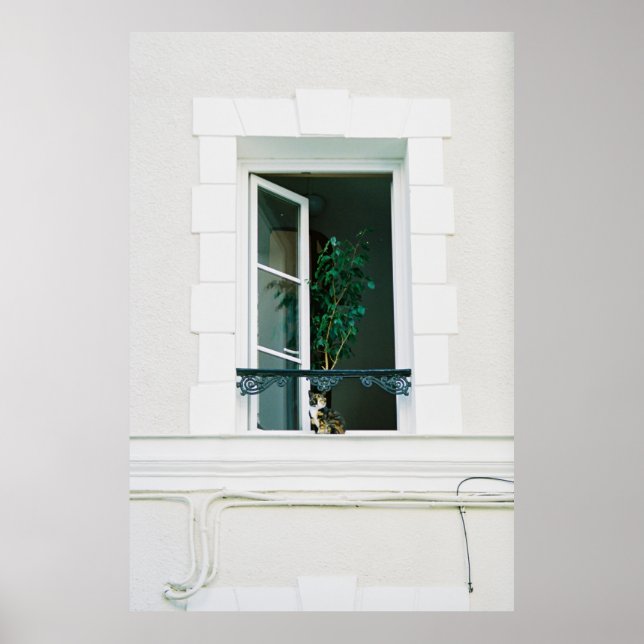 GRÖNT PÅ VITFÖNSTER POSTER (Framsidan)