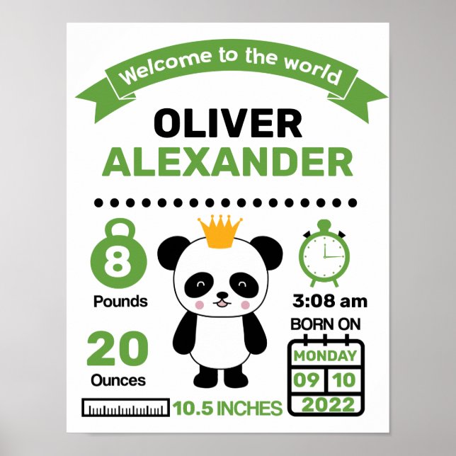 Grönt Panda Baby Birth Statistics Poster (Framsidan)