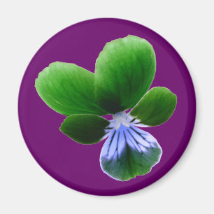 Grönt Pansy Magnet