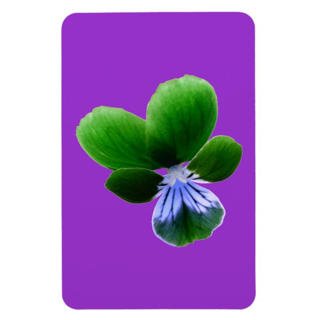 Grönt Pansy Premium Magnet (Vertikal)