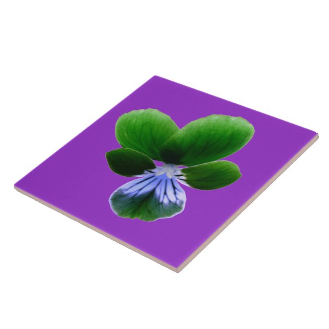 Grönt Pansy Tile Kakelplatta (Sidan)