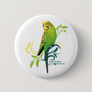 Grönt Parakeet Knapp