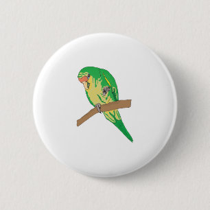 grönt parakeet knapp
