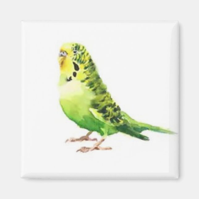 Grönt Parakeet Magnet (Framsidan)