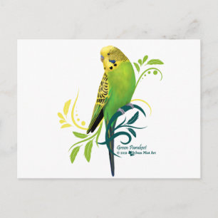 Grönt Parakeet Vykort