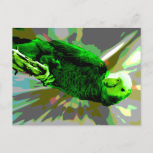 Grönt Parrot 6537 Vykort