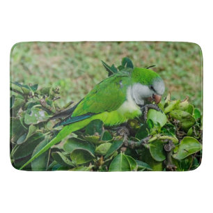 Grönt parrot badrumsmatta