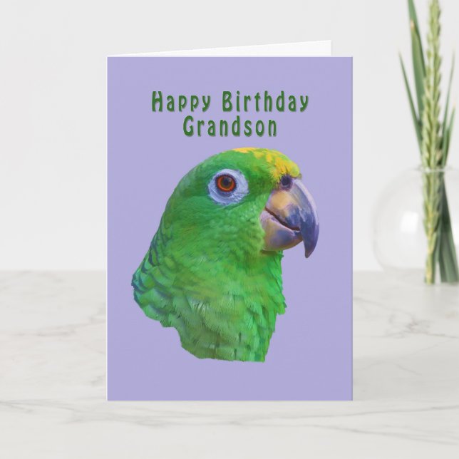 Grönt Parrot Birthday Greeting Card, Grandson Kort (Framsida)