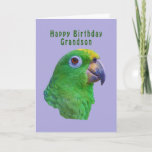 Grönt Parrot Birthday Greeting Card, Grandson Kort<br><div class="desc">Den här grönten macaw är medlem i papegojfamiljen och han gör ett färgstarkt födelsedagskalenderkort för en barnson.</div>