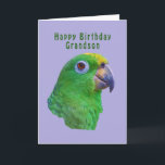 Grönt Parrot Birthday Greeting Card, Grandson Kort<br><div class="desc">Den här grönten macaw är medlem i papegojfamiljen och han gör ett färgstarkt födelsedagskalenderkort för en barnson.</div>