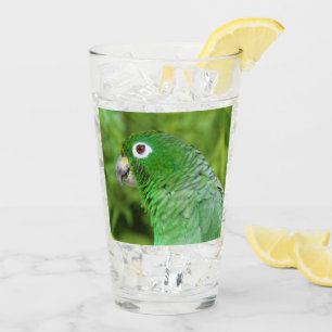 Grönt Parrot - Glas