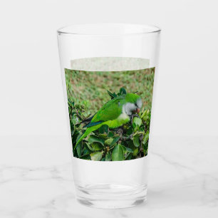 Grönt parrot glaskopp
