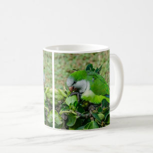 Grönt parrot kaffemugg