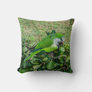 Grönt parrot kudde