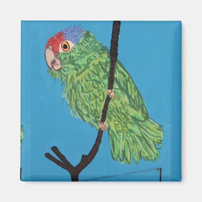 grönt parrot magnet (Framsidan)