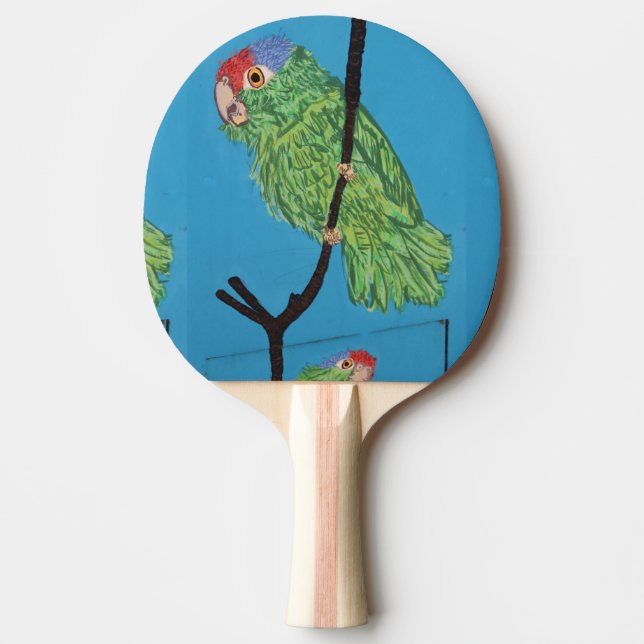 grönt parrot pongpaddla pingisracket (Framsidan)