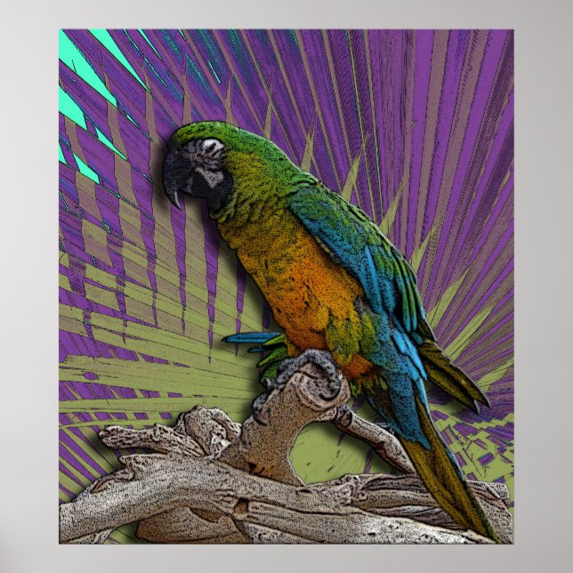 Grönt Parrot poster (Framsidan)
