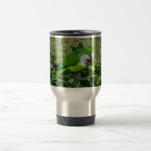 Grönt parrot resemugg
