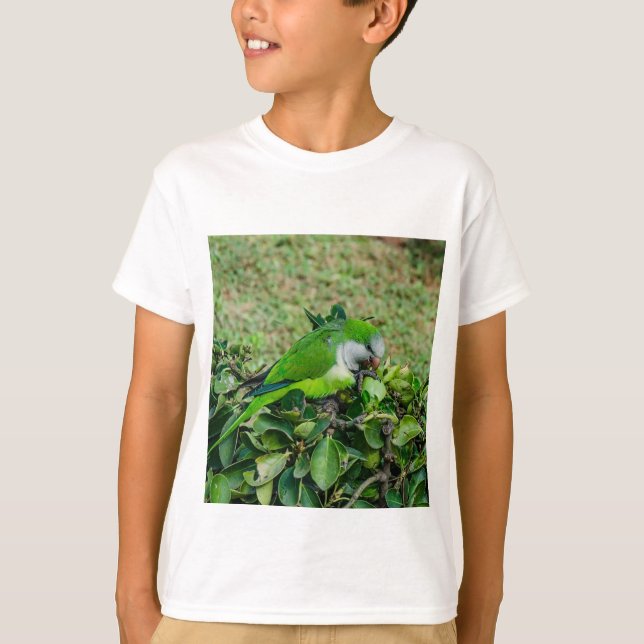 Grönt parrot t shirt (Framsida)