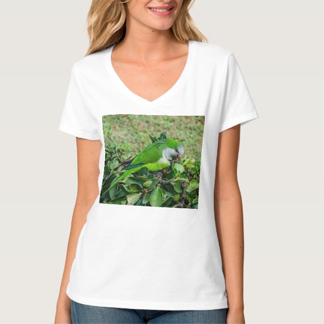 Grönt parrot t shirt (Framsida)
