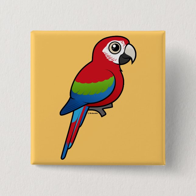 Grönt-påskyndad Macaw Knapp (Framsida)