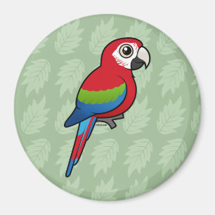 Grönt-påskyndad Macaw Magnet