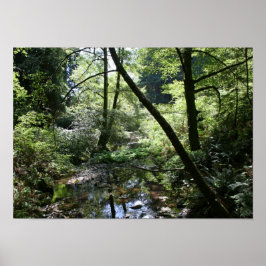 "Grönt Peace", Muir Skogen Poster