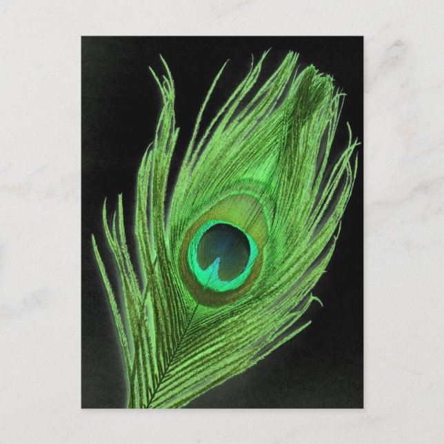 Grönt Peacock Feather på Black Vykort (Framsida)