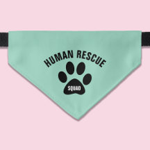 Grönt Pet Cat Bandana, human Rädding Squad
