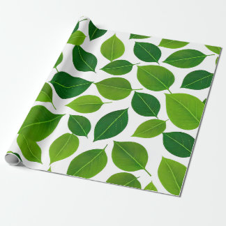 Grönt Petal Presentpapper