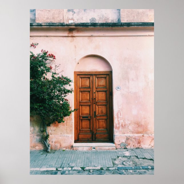 GRÖNT PLANER BESIDE BROWN WOODEN DOOR POSTER (Framsidan)