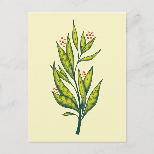 Grönt Plant Botanical Art Nature Älskare Vykort (Framsida)