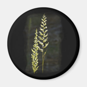 Grönt Plant Magnet