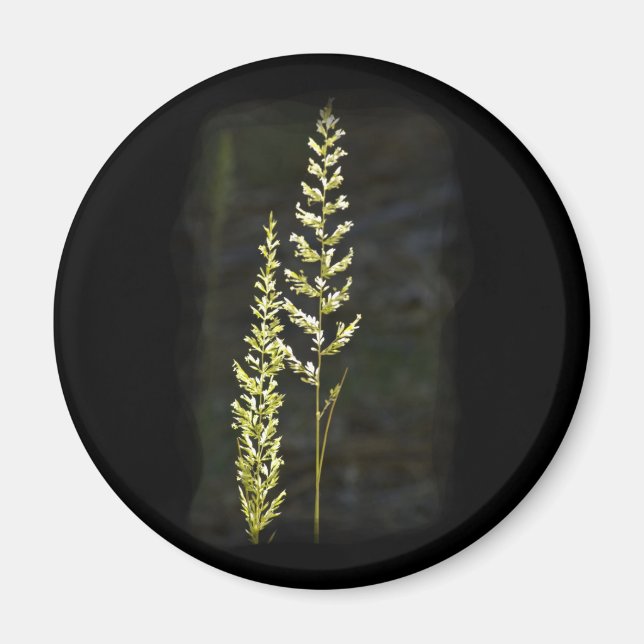 Grönt Plant Magnet (Framsidan)