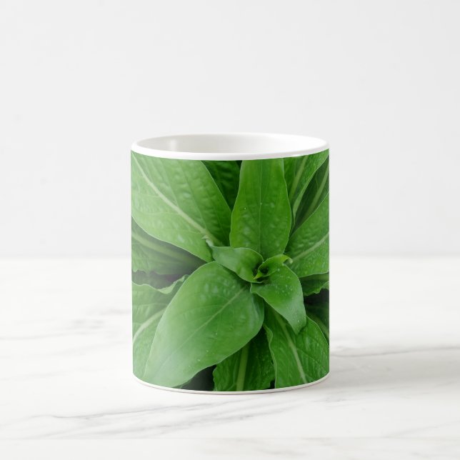 Grönt Plant White Coffee Mugg (Center)