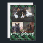 Grönt Play Meowy jul Photo Collage Julkort<br><div class="desc">Julfotokort med tre foton inuti en utskriven grönt som är placerad ram med en utskriven buffelkontroll i mönster. Moggranjulen är skriven i ett charmerande skript med en papp för i.</div>