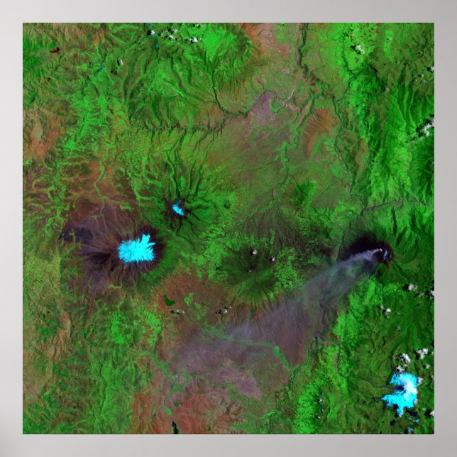 Grönt Poster (Framsidan)