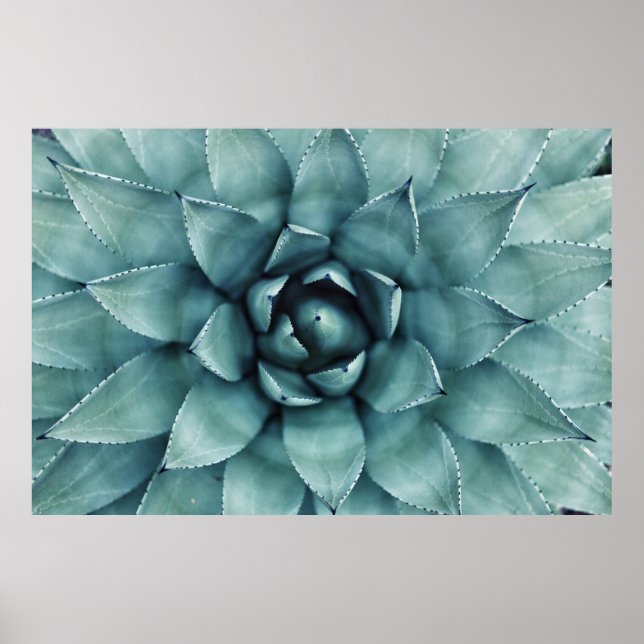 Grönt Poster (Framsidan)