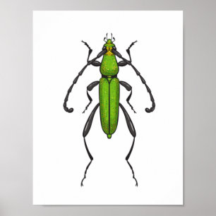 Grönt Poster