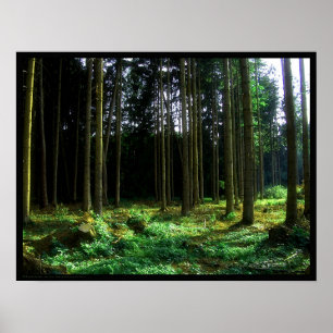 Grönt Poster