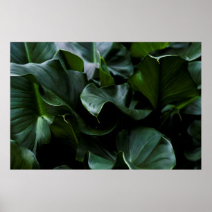 GRÖNT POSTER