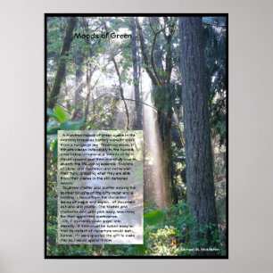 Grönt Poster