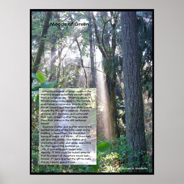 Grönt Poster (Framsidan)